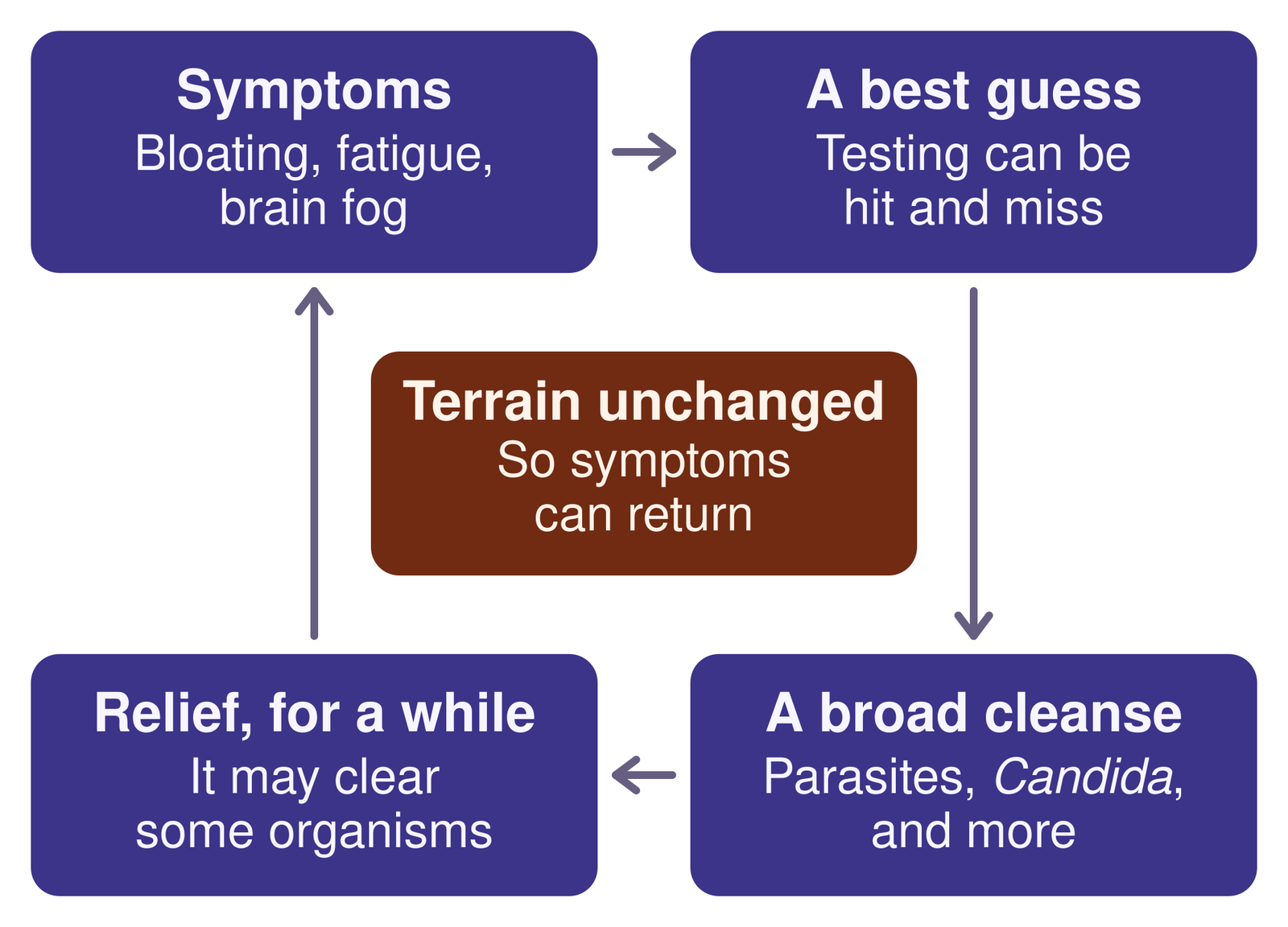 A loop of four steps around a center box. Symptoms lead to a best guess, because testing can be hit and miss. The guess leads to a broad cleanse aimed at parasites, Candida, and more, and then to relief for a while, since it may clear some organisms. Then the loop returns to symptoms. The center box reads: terrain unchanged, so symptoms can return.